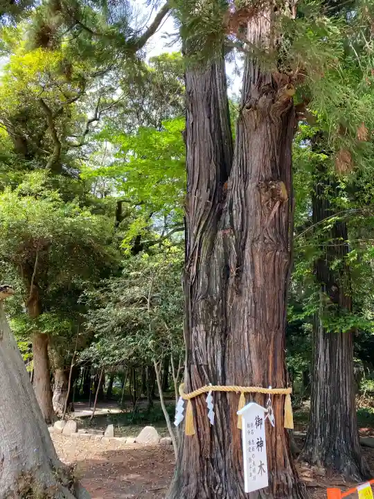 息栖神社(茨城県)