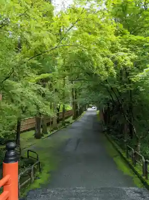 今熊野観音寺のその他建物
