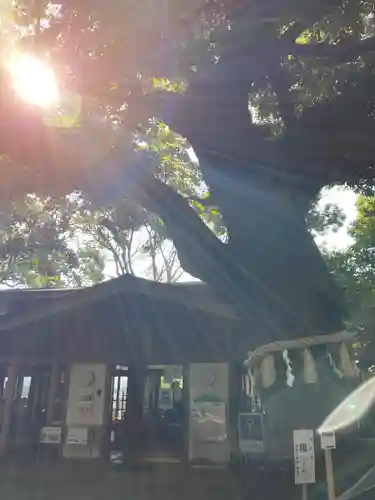 座間神社の自然