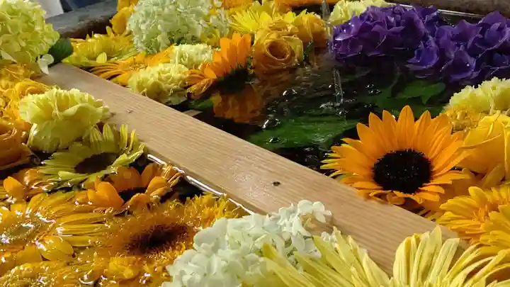 札幌諏訪神社の手水舎