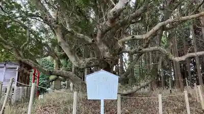 美和神社(岡山県)