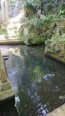 諏訪神社のその他建物