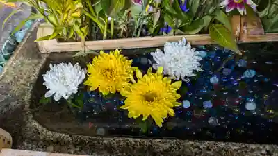 勝林寺(京都府)