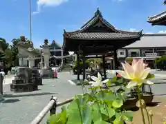 豊川閣　妙厳寺の建物その他