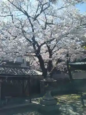 霊光殿天満宮(京都府)