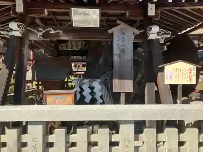 松尾大社(京都府)