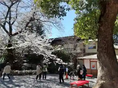 阿佐ヶ谷神明宮(東京都)