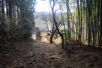白山比咩神社の景色