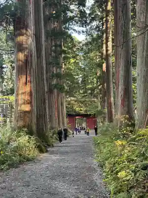 戸隠神社九頭龍社(長野県)