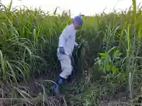 伏木香取神社の周辺