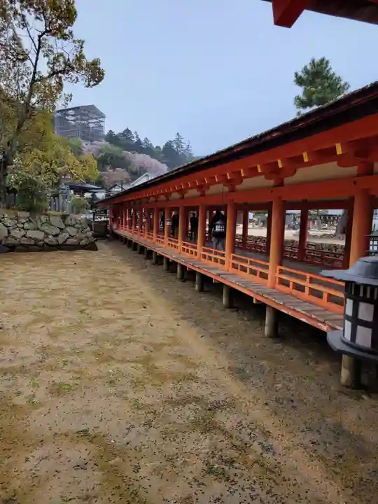 厳島神社(広島県)