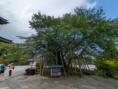 輪王寺(栃木県)