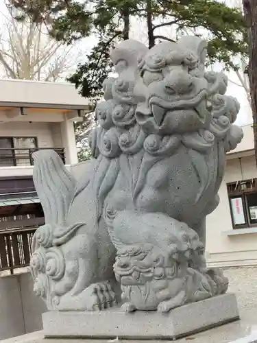 新琴似神社の狛犬