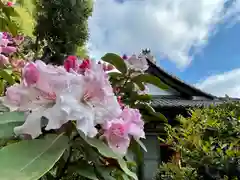 牟禮山観音禅寺の自然