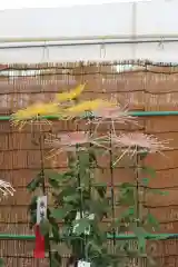 高麗神社の建物その他