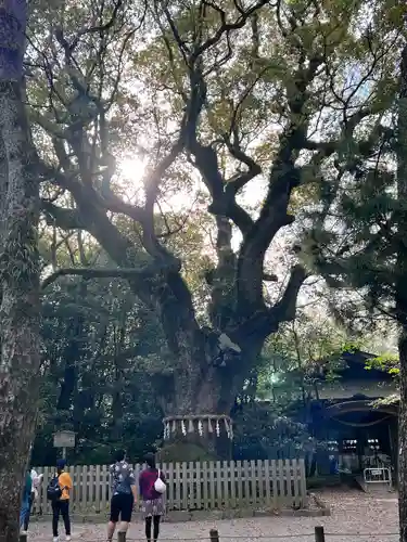 熱田神宮(愛知県)