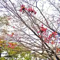 彌彦神社 (伊夜日子神社)の自然