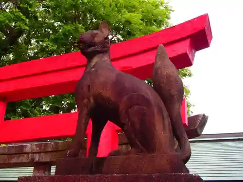 天王坊稲荷神社の狛犬