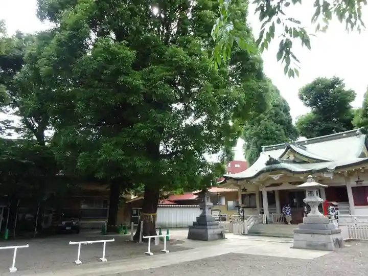荻窪白山神社のその他建物