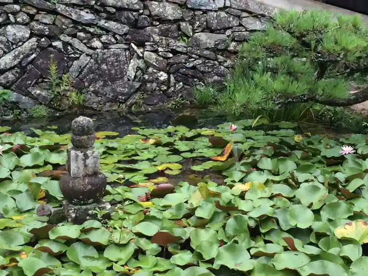 瑠璃光寺(山口県)