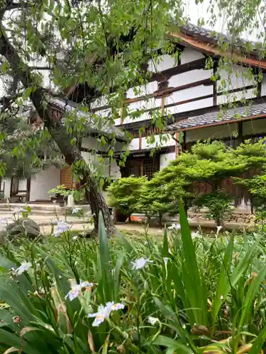 興聖寺(京都府)