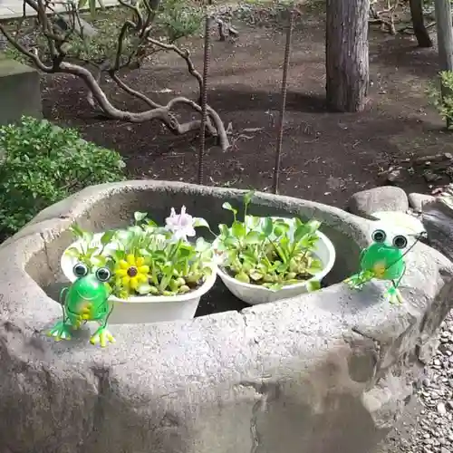 彌彦神社　(伊夜日子神社)の手水舎