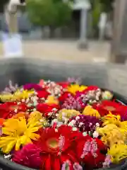 鹿島台神社(宮城県)