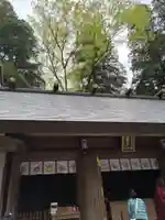 天岩戸神社(宮崎県)