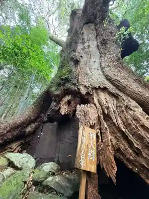 熊野那智大社(和歌山県)