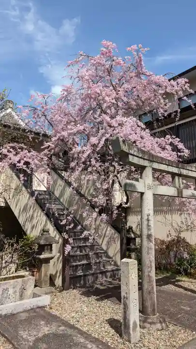 善行院(京都府)