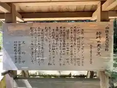 神崎神社(千葉県)