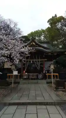 鎮守氷川神社の本殿・本堂