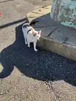 金刀比羅宮(千葉県)