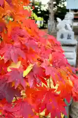 旭川神社の自然