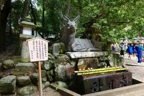 春日大社の手水舎