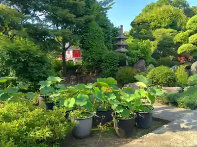 高源院(東京都)