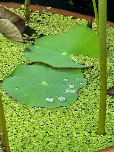 伊勢の国 四天王寺(三重県)