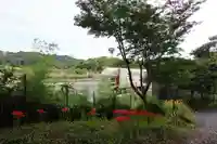 八幡神社(岩窪切岸城址)の景色