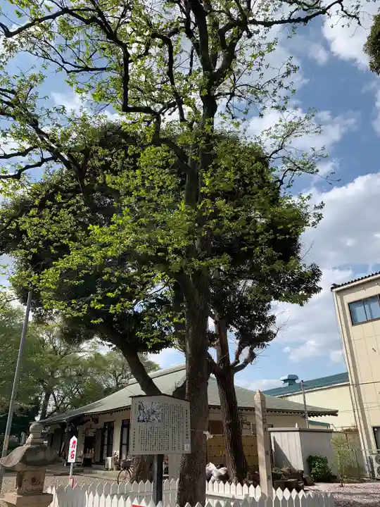 新曽氷川神社(埼玉県)