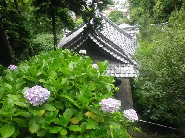 岩殿寺の自然