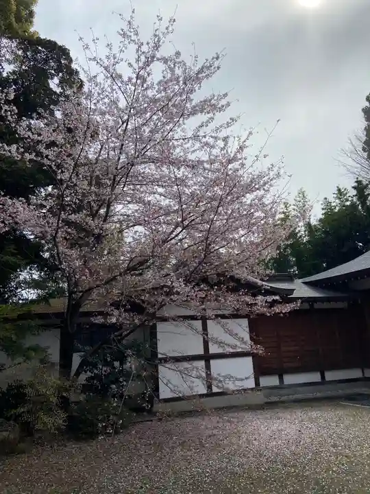 阿佐ヶ谷神明宮の自然