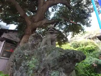 大綱金刀比羅神社(神奈川県)