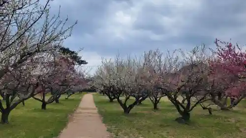 綱敷天満神社(愛媛県)