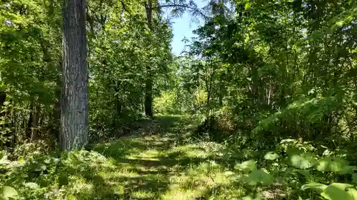 秋葉神社の庭園