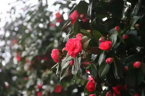 長屋神社の庭園