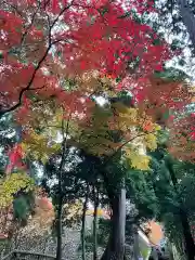 西明寺(滋賀県)