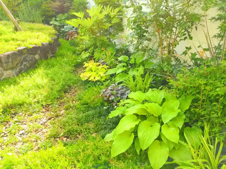 寿量山 速成寺の自然