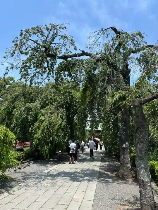 三嶋大社(静岡県)