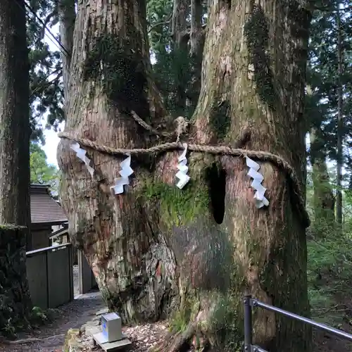 玉置神社(奈良県)