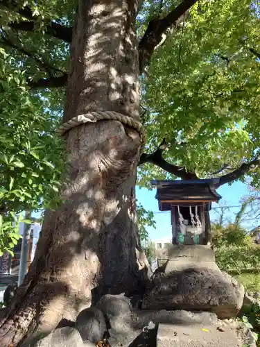 山神宮の本殿・本堂